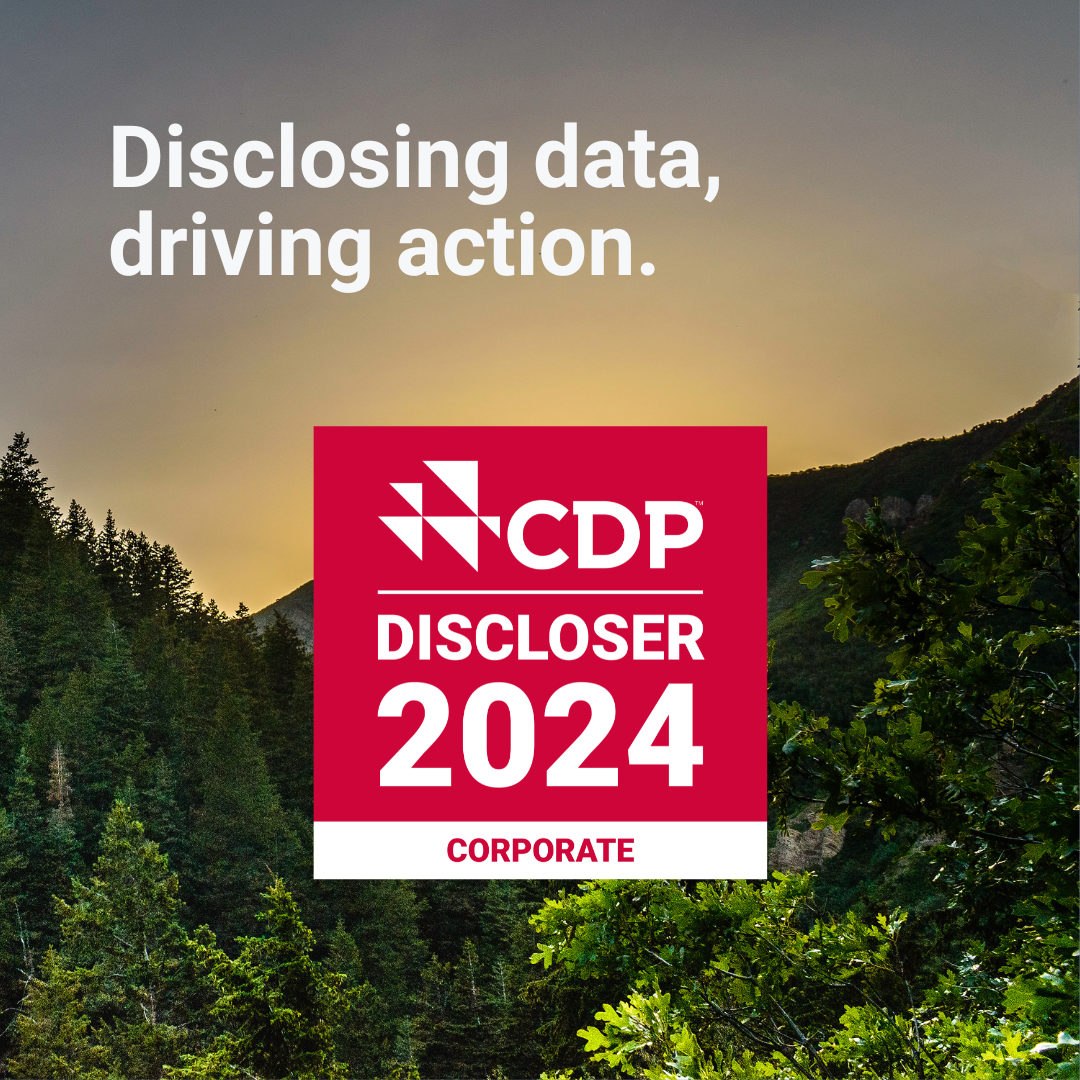 Discloser_2024_-_graphic_-_Corporate_2
